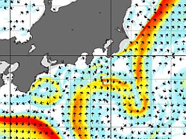 黒潮離れてヤリイカやクロムツチャンスなのに…天気がぁ！