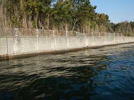 春の海に癒し求め午前メバル・午後アジでひねもすリレー♪