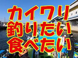 【動画】俺、洲崎沖でもう何年カイワリを釣ってないだろう？