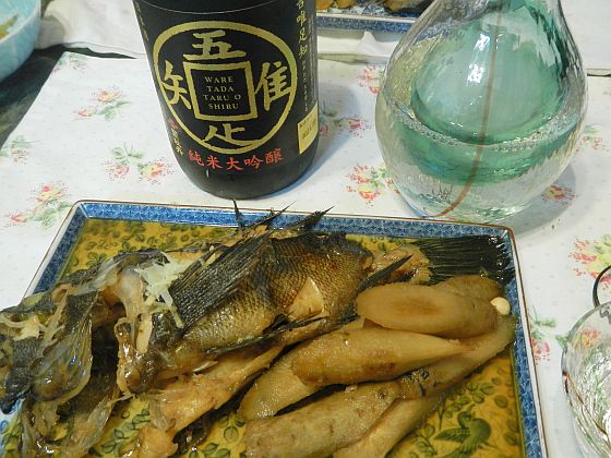 メバル・アジ・キス・グチ…東京湾春の釣魚尽くしと吾唯足知