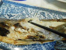 メバル・アジ・キス・グチ…東京湾春の釣魚尽くしと吾唯足知