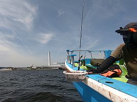 八景沖で小中アジほぼ入れ食い。アカクラゲさえいなければ