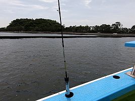 八景沖で小中アジほぼ入れ食い。アカクラゲさえいなければ