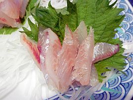 おらが釣り場のイサキは剣崎だな～。タカベはサイズ不足