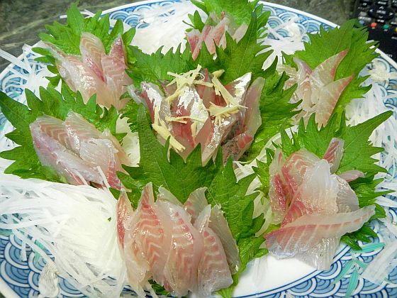 おらが釣り場のイサキは剣崎だな～。タカベはサイズ不足