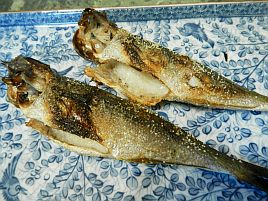 おらが釣り場のイサキは剣崎だな～。タカベはサイズ不足