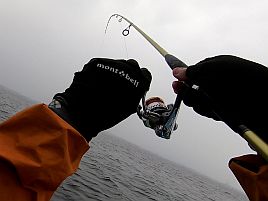 雨中のシロギス特訓。キス天食べ放題へ一歩一歩前進中♪