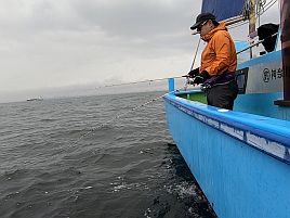 雨中のシロギス特訓。キス天食べ放題へ一歩一歩前進中♪