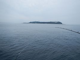 宇佐美のカイワリは歓迎してくれた…最初の数投だけはね