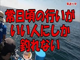 【動画】ワラサ釣りの俺…ハシビロコウみたいに動かないな