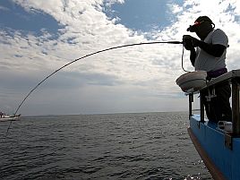 八景沖マダイは珍しく素直で3匹。久里浜ワラサとは断交だ