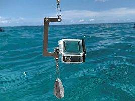 潮流で回転しにくいカメラアダプタ…海中撮影の野望が再び