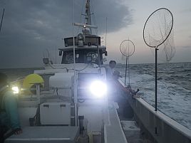 105日ぶりのカイワリプチ遠征はあわやボウズで痺れたよ～