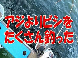 【動画】持っている人にはかなわんなぁと素直に脱帽したよ