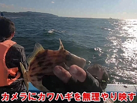 【動画】穂先映ってないし魚も映ってない…俺のお尻を見ろ