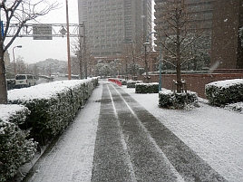 雪の中初釣りに思いはせるなんて…正気の沙汰じゃない？