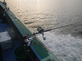 3週間ぶりの釣りはサバ地獄と変な潮でクロムツ2匹だけ～