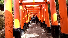 春の京都。京都らしいええもんを探して一泊二日めし旨旅♪け