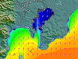 日曜午後に湾奥限定なら……釣りに行ける？　無理かな？