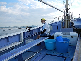 金田湾イワシメバルがあまりに魚信なく呆けてホゲて凹む