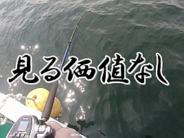 【動画】魚取り込んだシーンも竿が曲がったシーンもなし