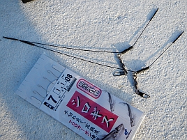 天秤でのシロギスってどうやって誘うんだっけ？と今さらｗ