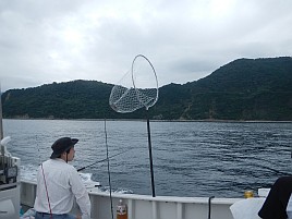 本日、大人はウィリーにおさわり禁止…カイワリほげたぞ