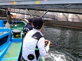 タコを釣ったらキャーキャー騒ぐへたれなおっさんが8杯♪