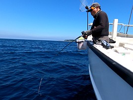 メインポイントはほかの人がカイワリ釣るまでカブラでやる