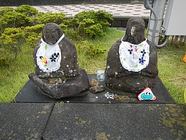 小サバ湧いてカイワリお留守。カンパチはいてくれたよ～