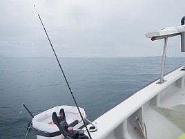 小サバ湧いてカイワリお留守。カンパチはいてくれたよ～