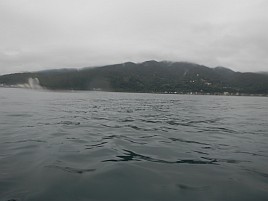 小サバ湧いてカイワリお留守。カンパチはいてくれたよ～