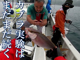 【動画】カンパチ釣って何て言ったのか自分でも分からん