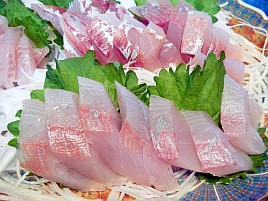 少量でも満足感ある魚…宇佐美でカンパチ始まってたよ～