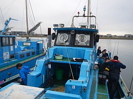 海堡で順調→竹岡砂漠→海堡に戻りカワハギ開幕戦は11匹