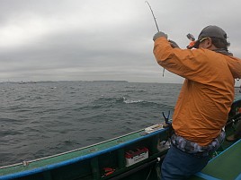 海堡で順調→竹岡砂漠→海堡に戻りカワハギ開幕戦は11匹