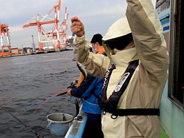 粂丸LTアジの釣果が連日すごいので釣りデートの予定が…