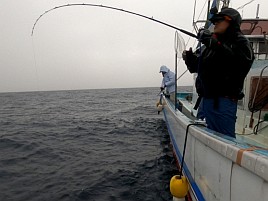 庄吉丸の下に15匹目のオニカサゴ…でも16匹目はおあずけ