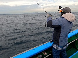 誘うとキダイもサバも食わない海にこてんぱんにされたよ