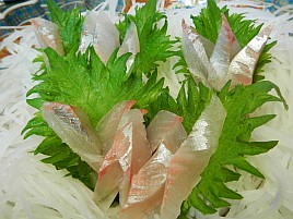 カイワリ刺し・チダイ鍋・カゴカマス開きで宇佐美を味わう