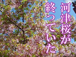 【動画】高切れの瞬間のなさけない声をお聞き逃しなくw