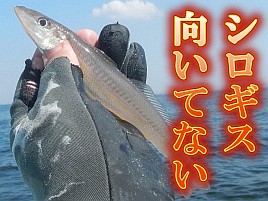 【動画】釣りは経験の積み重ねでしか上達しないのよね～