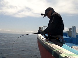 城ヶ島沖クロムツは魚信少なめも釣れれば大満足サイズで♪