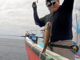 城ヶ島沖クロムツは魚信少なめも釣れれば大満足サイズで♪