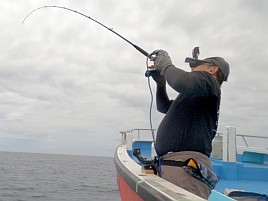 城ヶ島沖クロムツは魚信少なめも釣れれば大満足サイズで♪