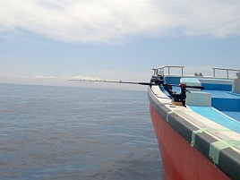 城ヶ島沖クロムツは魚信少なめも釣れれば大満足サイズで♪