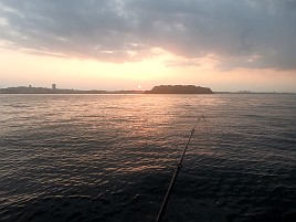 猿島沖の午後アジ→夜メバルで横浜沖のリベンジしてくるよ