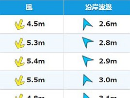 波浪予報の「波浪」とは風波とうねりの重なったもののこと