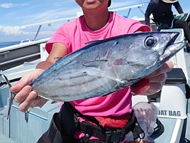 人生初のカツオゲットに向けて釣り方を思い出しておくぞ!!