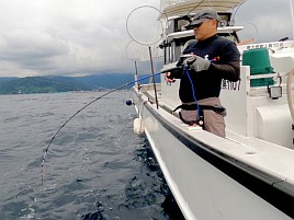 唯一のこれは!?な魚信は奪食いで…伊豆アカムツまたも撃沈